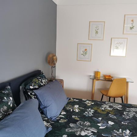 זלסטאט La Maison De Lucie - Grande Maison Ideale En Famille Ou Entre Amis - Jardin - Parking Gratuit מראה חיצוני תמונה