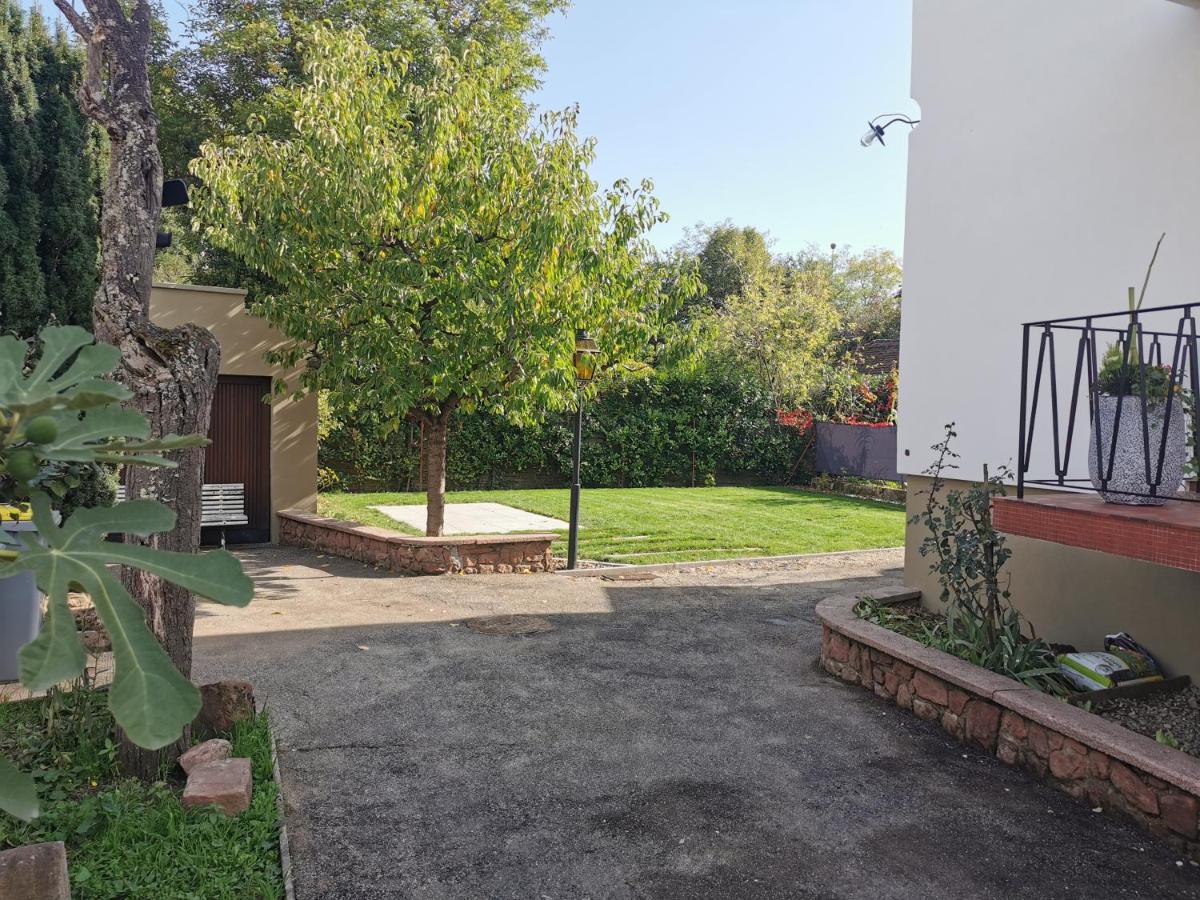 זלסטאט La Maison De Lucie - Grande Maison Ideale En Famille Ou Entre Amis - Jardin - Parking Gratuit מראה חיצוני תמונה
