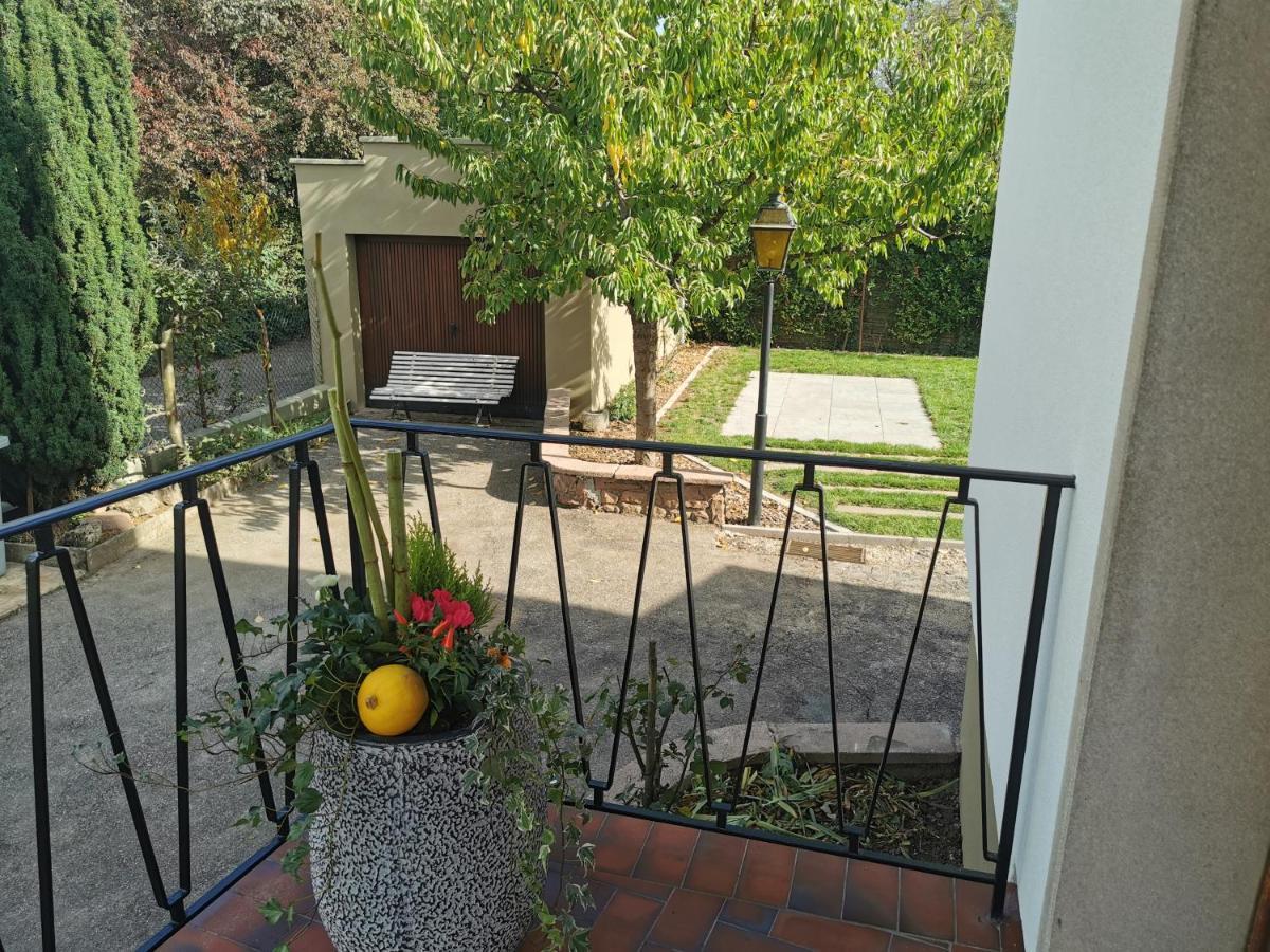 זלסטאט La Maison De Lucie - Grande Maison Ideale En Famille Ou Entre Amis - Jardin - Parking Gratuit מראה חיצוני תמונה